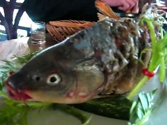 Cụ thể, để món này đạt chuẩn, đầu bếp nhất định phải khiến thân cá đã chín, thơm ngon vô cùng nhưng mang cá vẫn còn hoạt động, con cá vẫn cố thở và miệng liên tục ngáp.