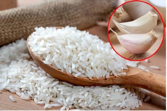 Thả vài tép tỏi vào thùng gạo, ai cũng giật mình khi thấy kết quả