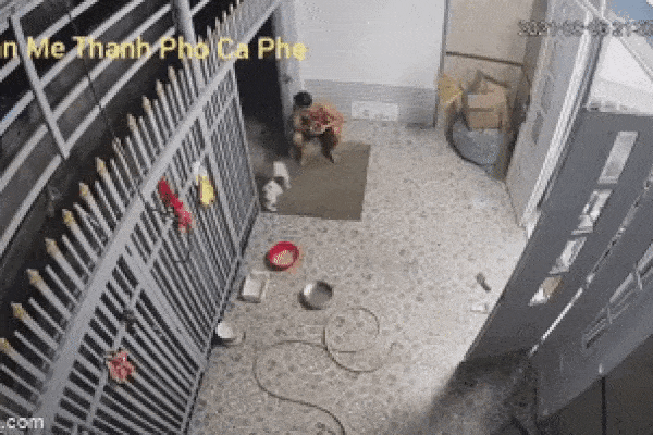 Clip: 2 thanh niên phi xe máy vào nhà dân, đóng cửa trốn công an-1