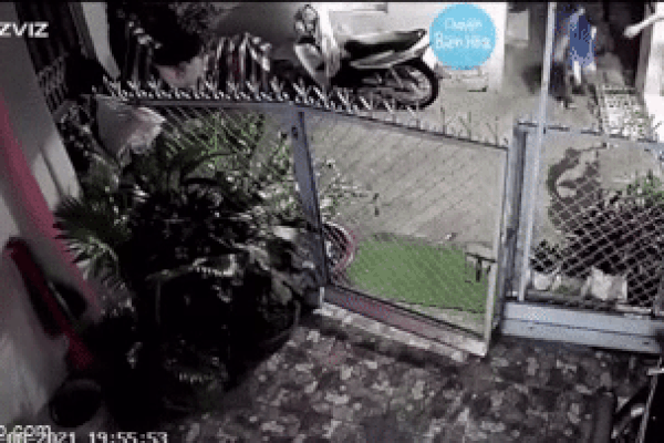 Rủ nhau ra ngõ tâm sự, cả xóm bỏ chạy vì 1 nhân vật quyền lực