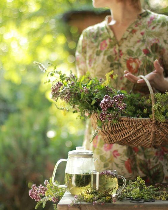 Tử vi 12 cung hoàng đạo thứ Tư 11/8/2021: Sư Tử làm giàu không dễ-2