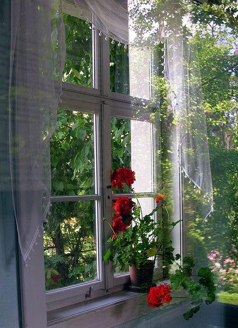 Tử vi 12 cung hoàng đạo thứ Tư 11/8/2021: Sư Tử làm giàu không dễ-3