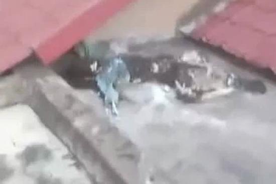 Danh tính và nhân thân bộ xương người khô trên mái nhà