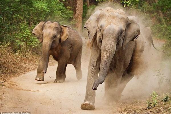 Người đàn ông nổi tiếng với tài xếp đá thăng bằng-1