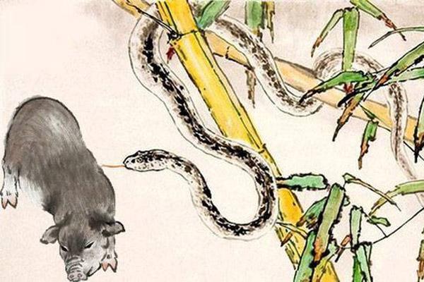 Tử vi thứ Năm ngày 12/8/2021 của 12 con giáp: Hợi phát vận đào hoa-5