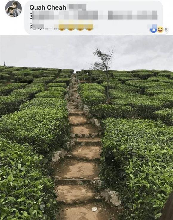 Cô gái cầu cứu dân mạng sửa ảnh hộ, kết nhận thảm hơn hình gốc-6