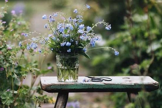 Tử vi 12 cung hoàng đạo thứ Năm 12/8/2021: Cát tinh chiếu sáng Bảo Bình