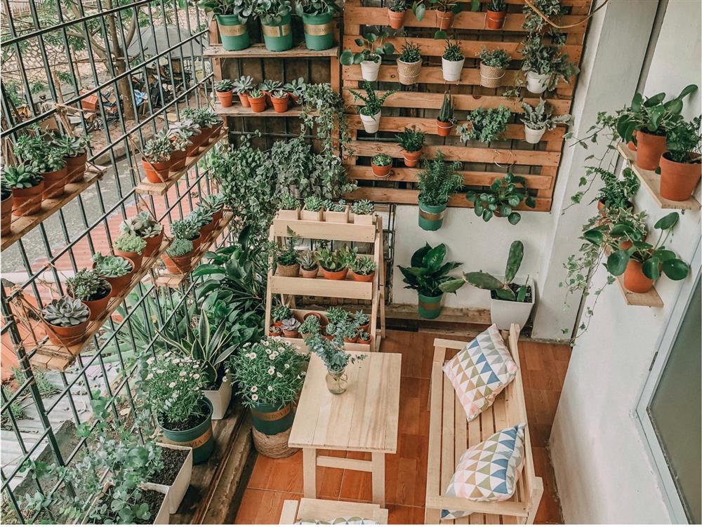 Mê mẩn khu rừng nhỏ tọa lạc giữa ban công tập thể cũ Hà Nội-1