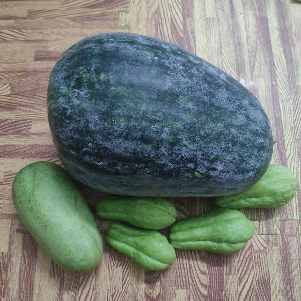 Mẹ nhắn Gửi quả bí đao nhỏ, con trai té ngửa khi mở gói hàng-1