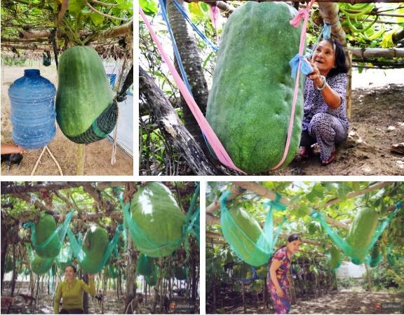 Mẹ nhắn Gửi quả bí đao nhỏ, con trai té ngửa khi mở gói hàng-2