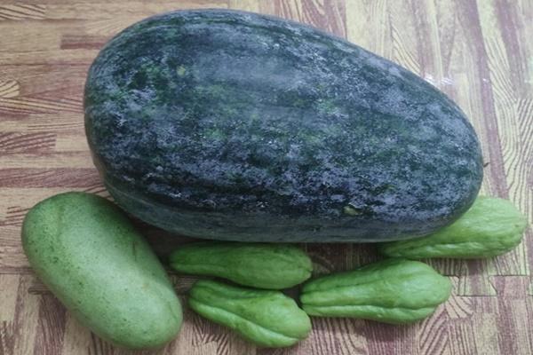 Món ngon mà bị đựng trong cái túi nhìn đã hốt nói gì đến ăn-3