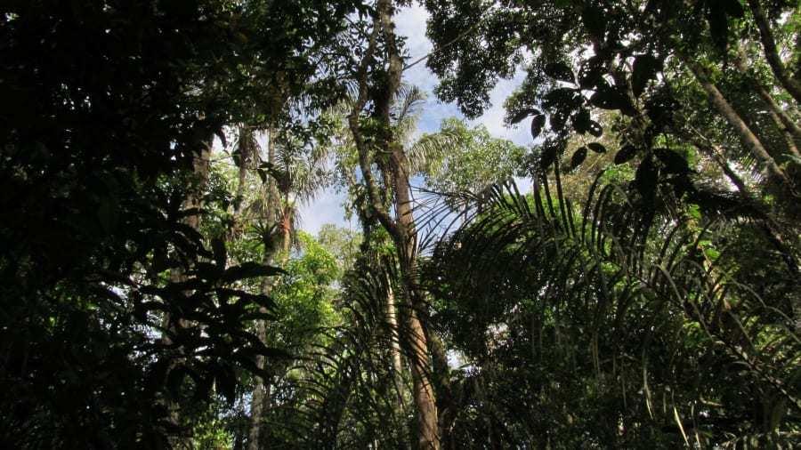 Hiếm hoi những địa điểm tự nhiên không có tiếng ồn nhân tạo-2