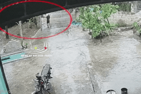 Clip: Thót tim cháu bé ngã xuống hồ, suýt bị thần chết cướp mạng-2