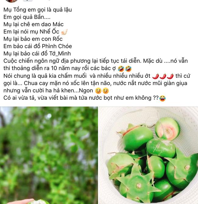 Xôn xao loại quả nhiều tên gọi nhất Việt Nam-1