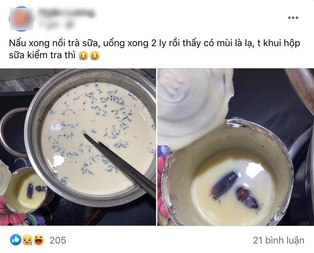 Uống xong 2 ly trà sữa, cô gái ngã ngửa khi phát hiện 1 thứ-1