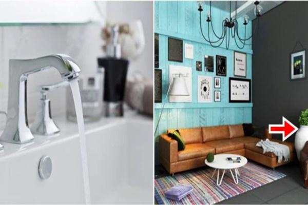 Vị trí trồng cây xanh mang năng lượng tích cực trong tháng cô hồn-2