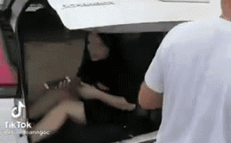 Chui vào cốp xe thông chốt kiểm dịch, bà chị bị tóm gọn-1