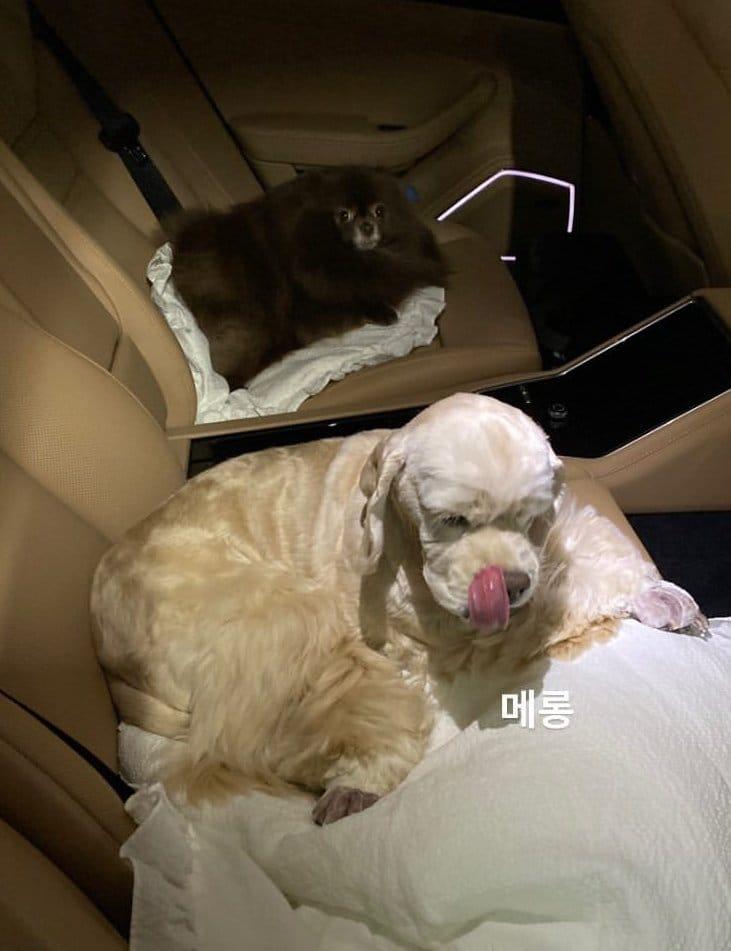 Choáng ngợp dàn siêu xe bạc tỷ của BLACKPINK Jennie-2