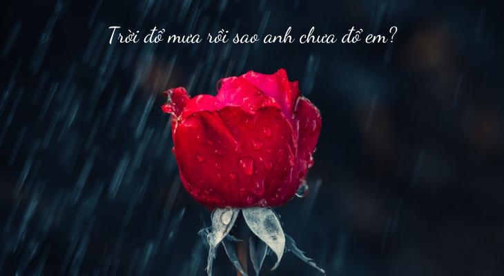 7749 thính hay chị em thả đâu dính đấy trong ngày lễ Thất Tịch-1