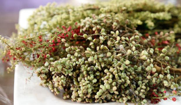 Loại quả xưa rụng không ai nhặt, giờ thành của ngon vật lạ-3