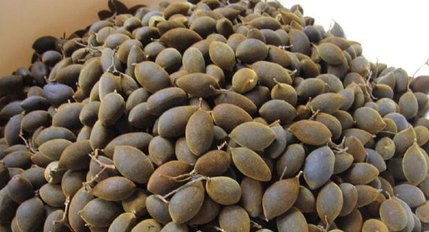 Loại quả xưa rụng không ai nhặt, giờ thành của ngon vật lạ-6