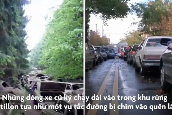 Những bãi phế liệu xe ấn tượng trên thế giới