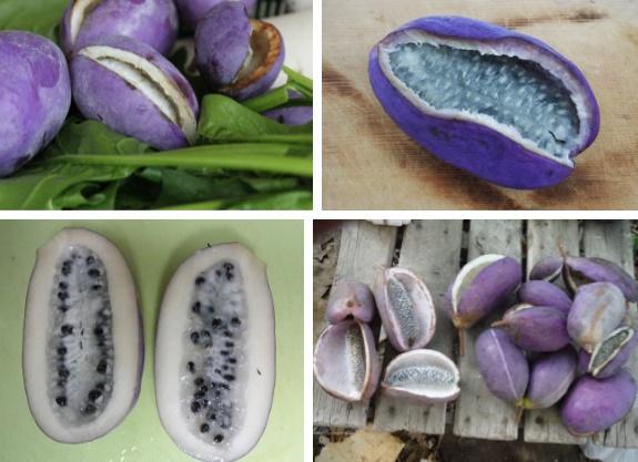 Thứ quả tím lịm tìm sim như xoài nhưng bên trong lại là chuối-3