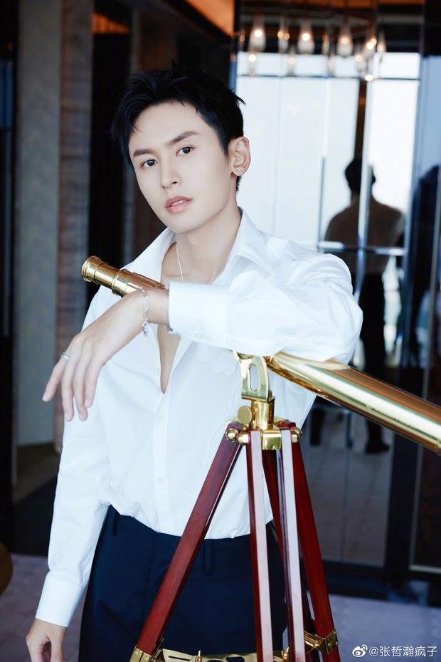 Gà cưng của Triệu Vy: Người bị phong sát, kẻ chật vật công danh-1