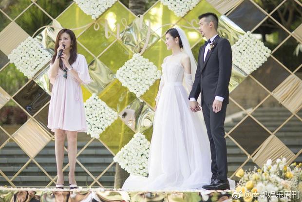 Gà cưng của Triệu Vy: Người bị phong sát, kẻ chật vật công danh-6