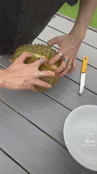 Dân mạng muốn củng sọ Vũ Khắc Tiệp vì bổ sầu riêng như bổ mít-1