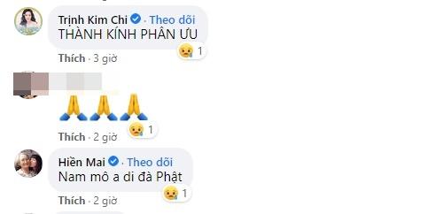 Antifan thiếu tôn trọng cô ruột Phương Mỹ Chi, Elly Trần nổi giận-3