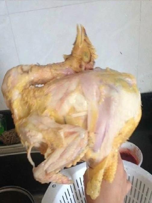 Gái đoảng vặt lông gà kiểu Khá Bảnh bị mẹ đá khỏi nhà-5