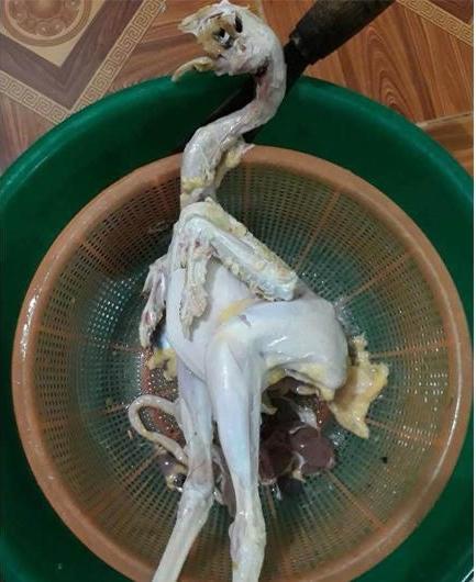 Gái đoảng vặt lông gà kiểu Khá Bảnh bị mẹ đá khỏi nhà-4