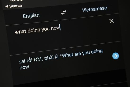 Google Dịch sửa lỗi hiển thị 'Sai rồi ĐM'
