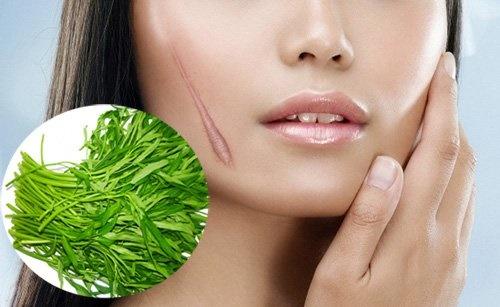 Những kiêng kỵ khi ăn rau muống nên biết để tránh rước họa-2