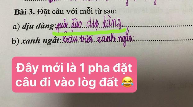 Đặt câu với 4 từ, nhóc tiểu học khiến cô giáo cười mệt nghỉ-2