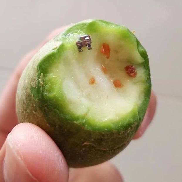 Đang niềng răng vẫn ăn cóc, cắn một miếng liền hối hận không kịp-1