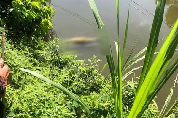 Bé trai 8 tuổi ở Thanh Hóa mất tích khi chơi trốn tìm cùng anh-2