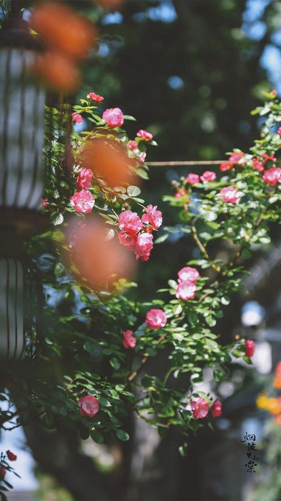 Tử vi 12 cung hoàng đạo thứ Sáu 20/8/2021: Song Tử lạc quan tếu-1