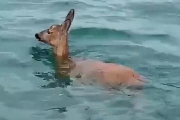 Bí ẩn bãi biển có màu đỏ như máu-6