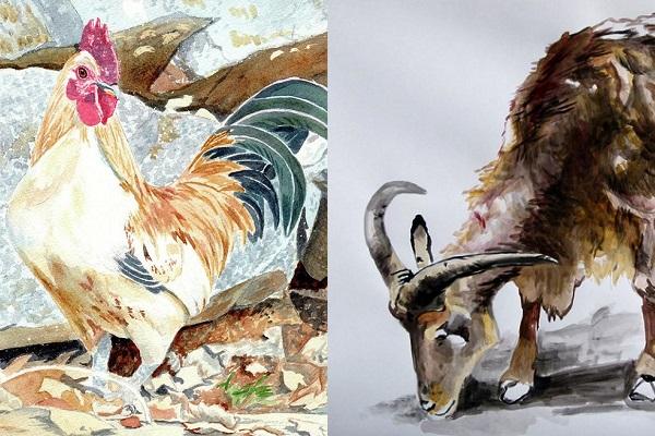 Những cặp con giáp thuận vợ thuận chồng tát biển Đông cũng cạn-2