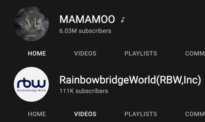 Fan kêu gọi cùng nhau tẩy chay concert online của MAMAMOO?-2