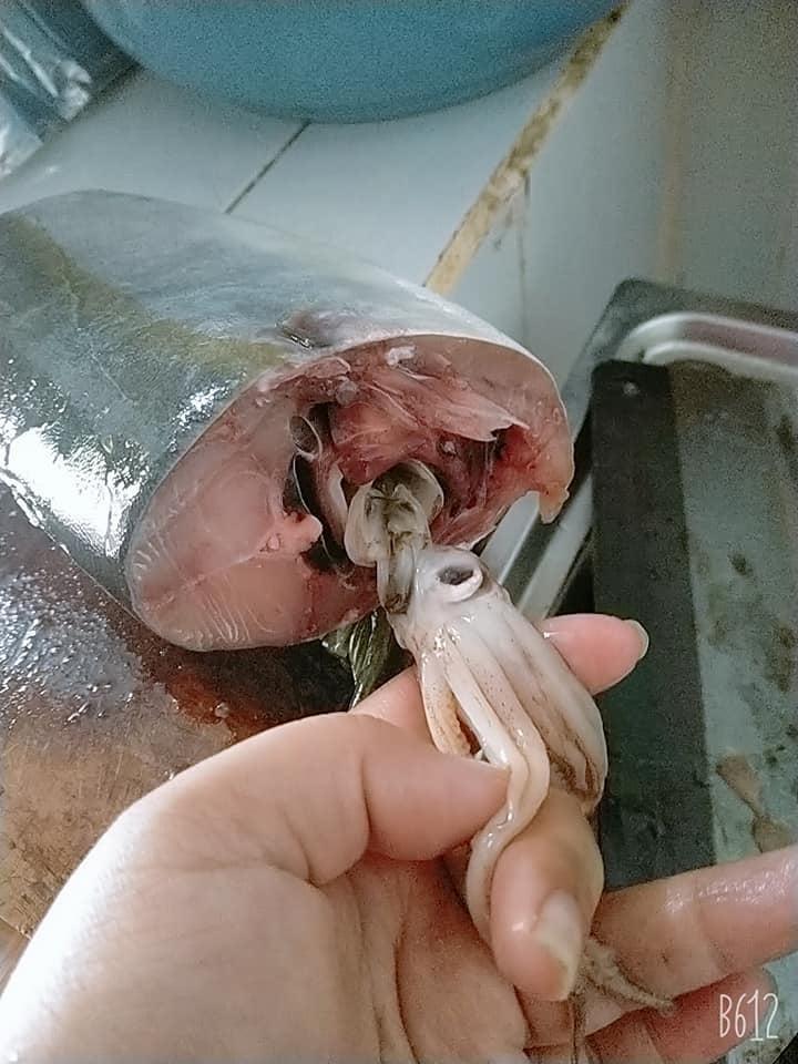 Vui hơn Tết vì mua cá được khuyến mại mực ăn thêm mùa dịch-1