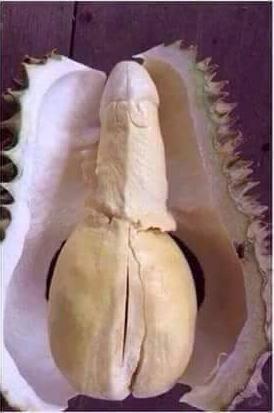 Múi sầu riêng hình cô bé, khổ chủ xấu hổ không biết ăn hay bỏ-2