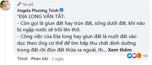 Angela Phương Trinh đã thấy sai khi tuyền truyền thuốc chữa COVID?-3