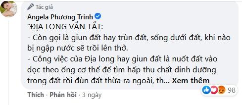 Angela Phương Trinh đã thấy sai khi tuyền truyền thuốc chữa COVID?-3