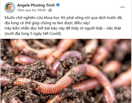 Angela Phương Trinh đã thấy sai khi tuyền truyền thuốc chữa COVID?-2