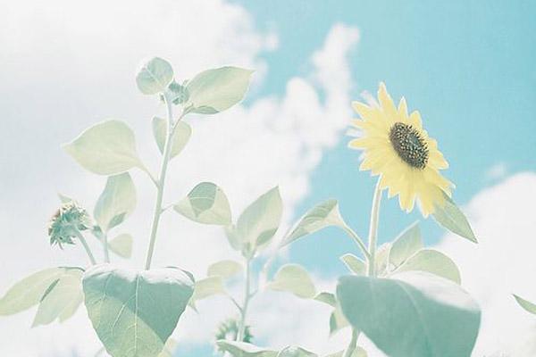 Từ Rằm tháng 7, 12 chòm sao cần kiêng kị gì để giải quyết khó khăn?-3