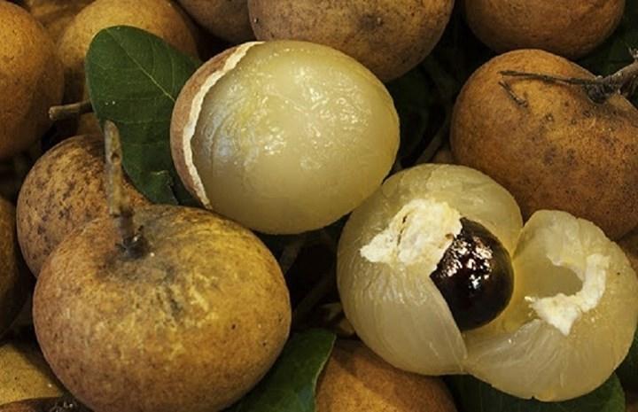 Những người nên hạn chế ăn nhãn kẻo thêm độc vào người-3