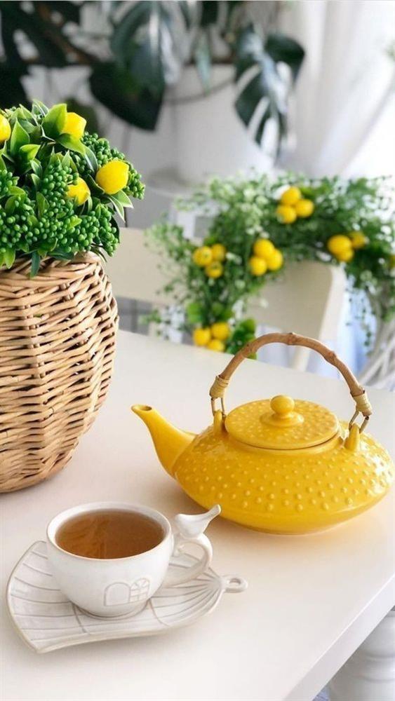 Tử vi 12 cung hoàng đạo thứ Ba 24/8/2021: Bọ Cạp ích kỷ vì yêu-1